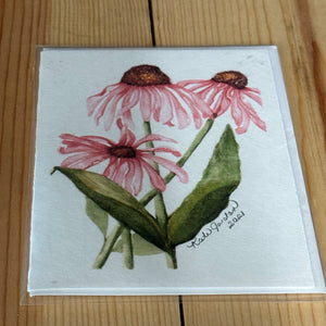 Kate Jordan Notecard