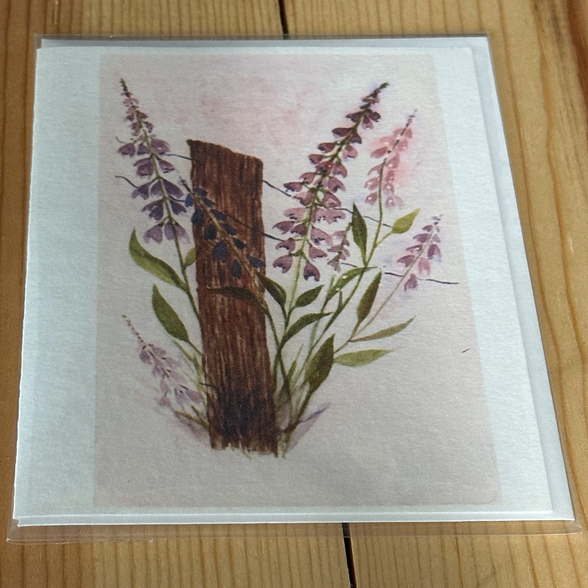 Kate Jordan Notecard