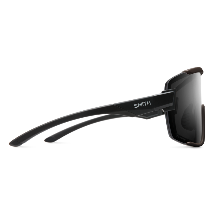 Wildcat Sunglasses - S24