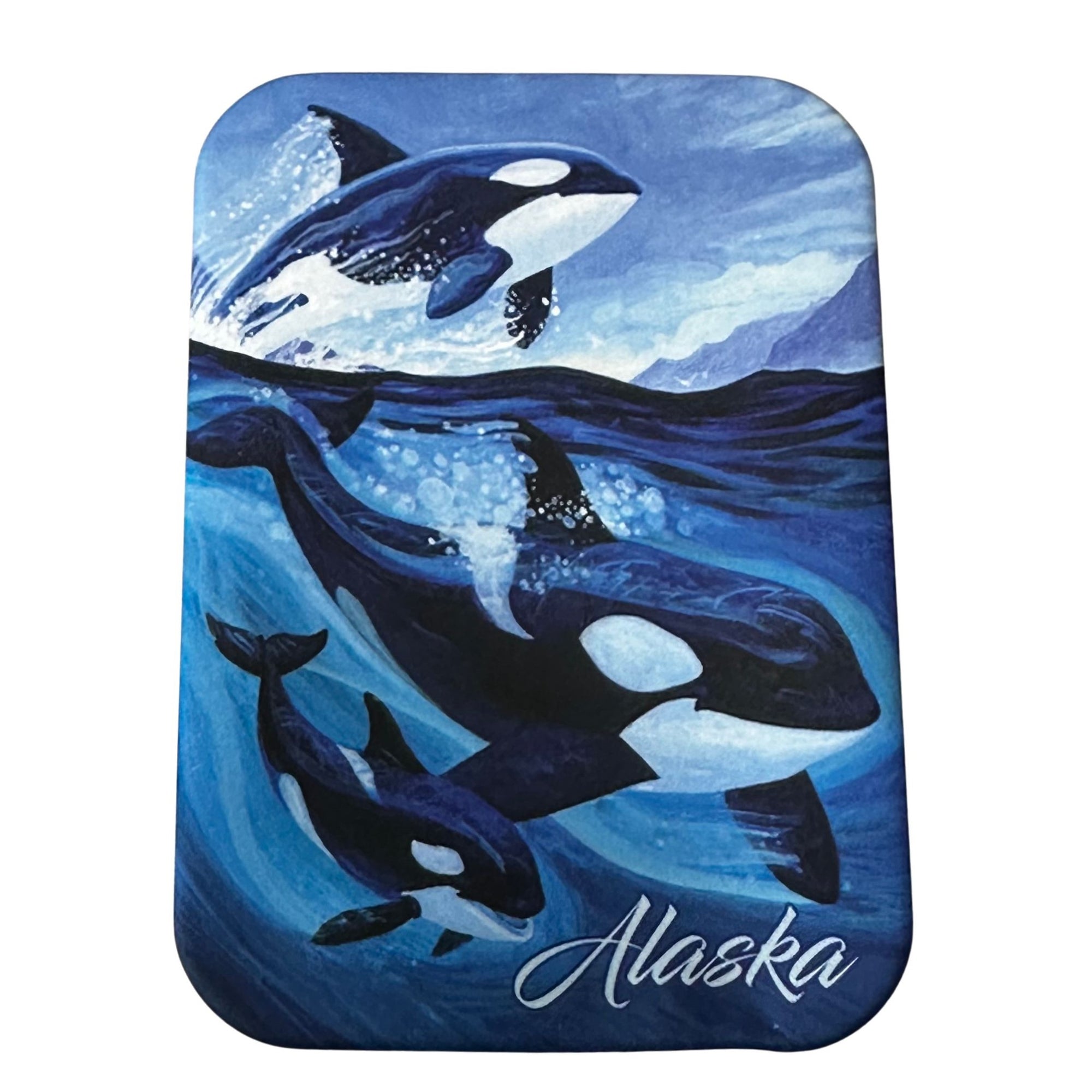 Orca Magnet
