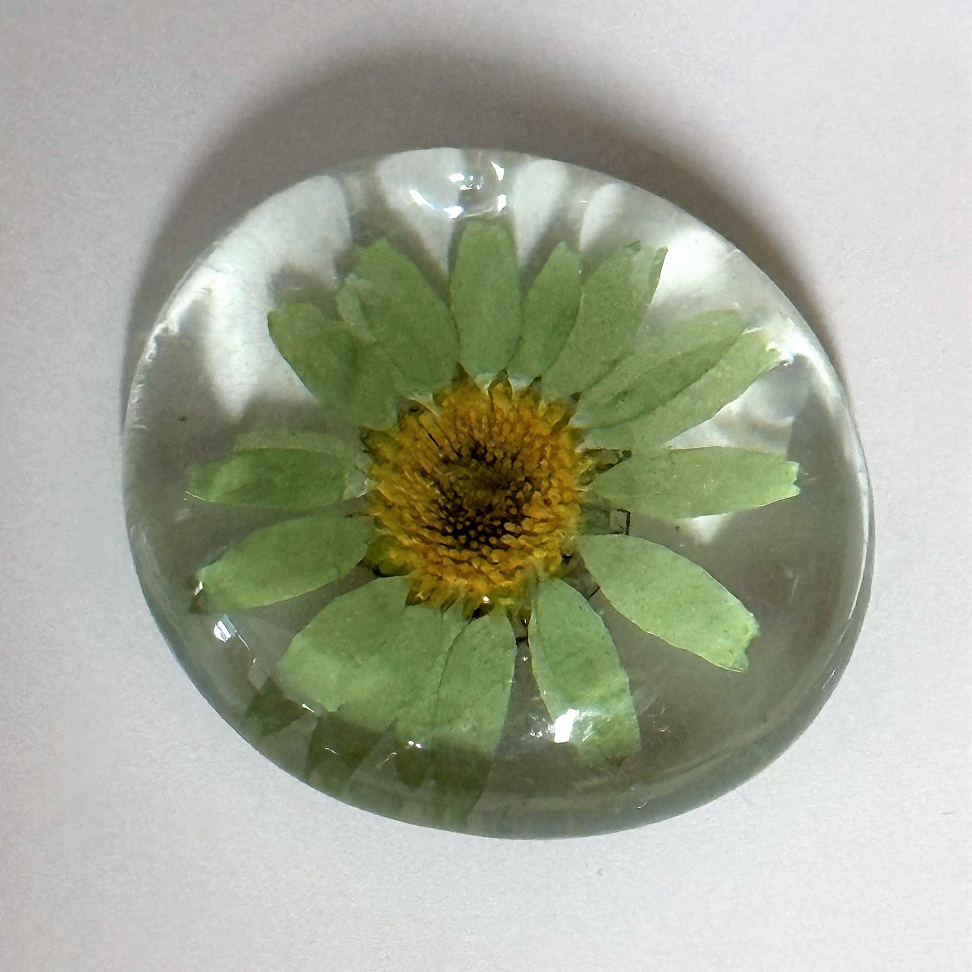 Floral Glass Magnet