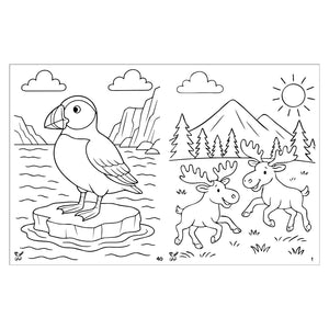 Alaska Themed Coloring Book