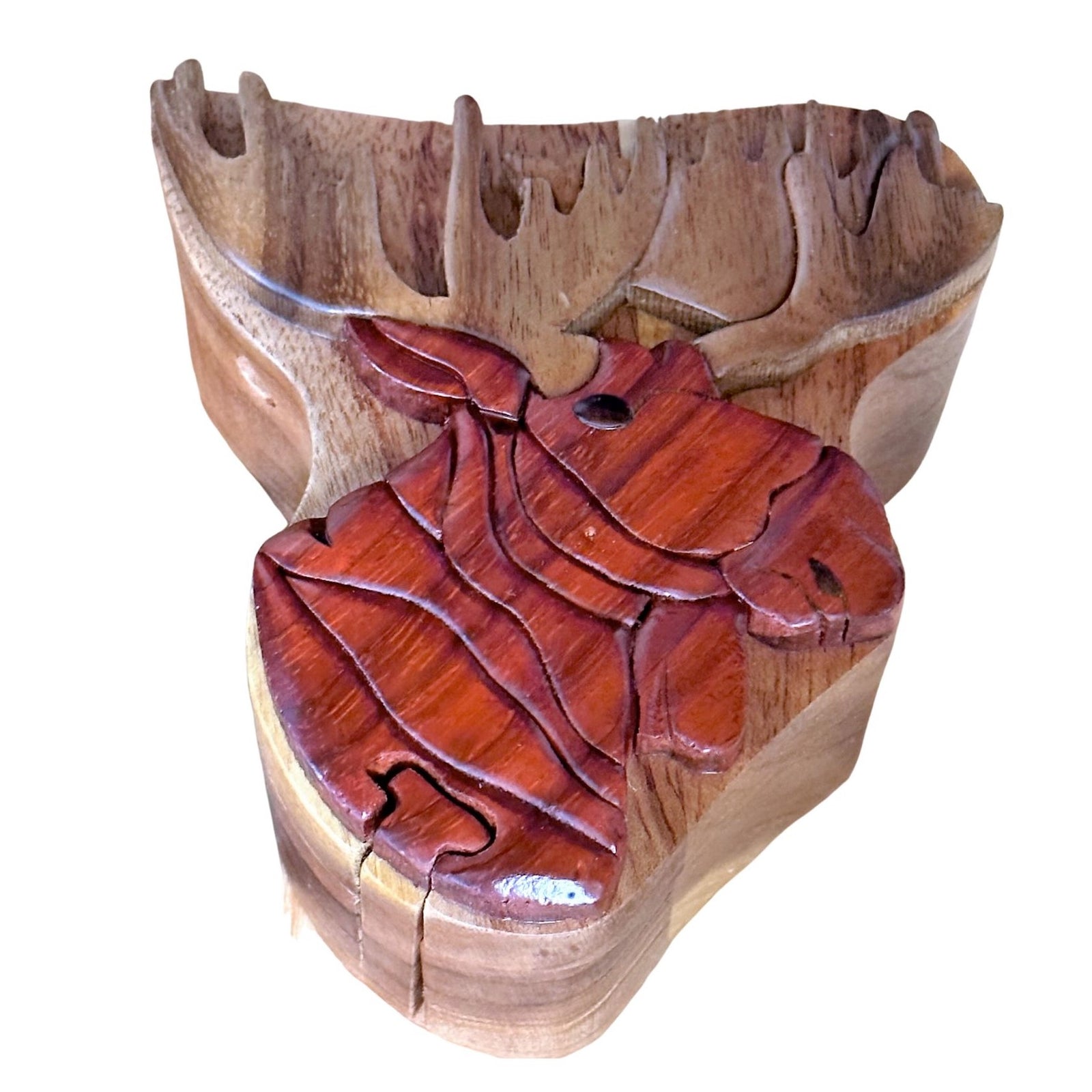 Moose Head Intarsia Wood Puzzle Box