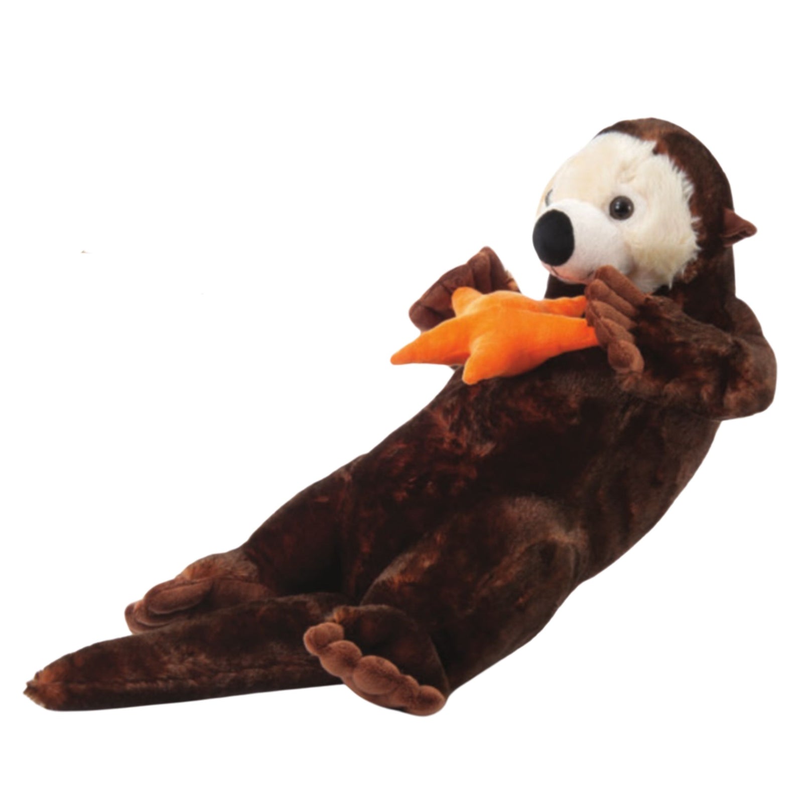 Jumbo Sea Otter and Starfish