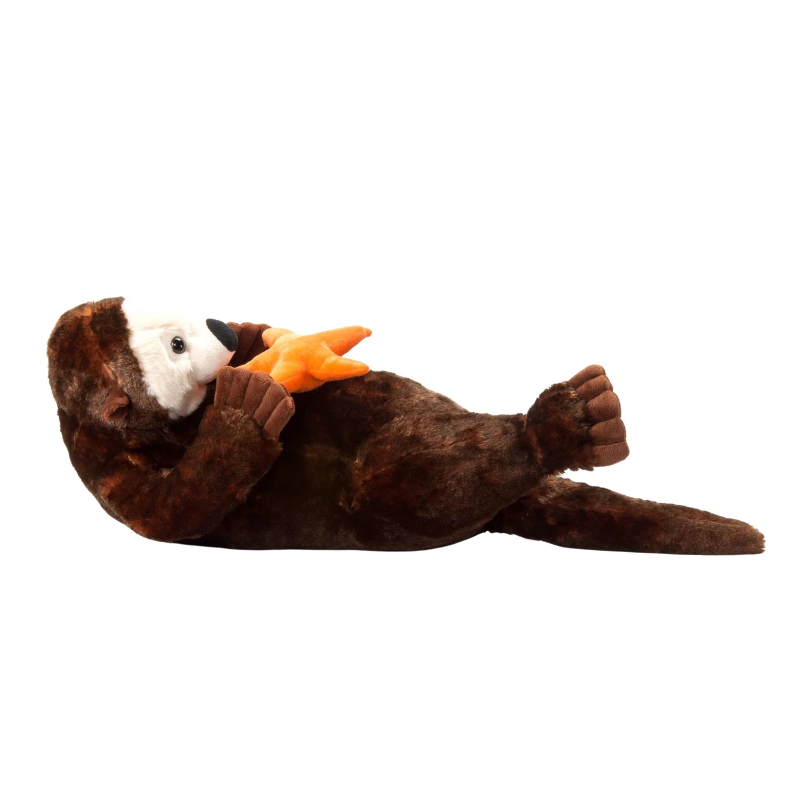 Jumbo Sea Otter and Starfish