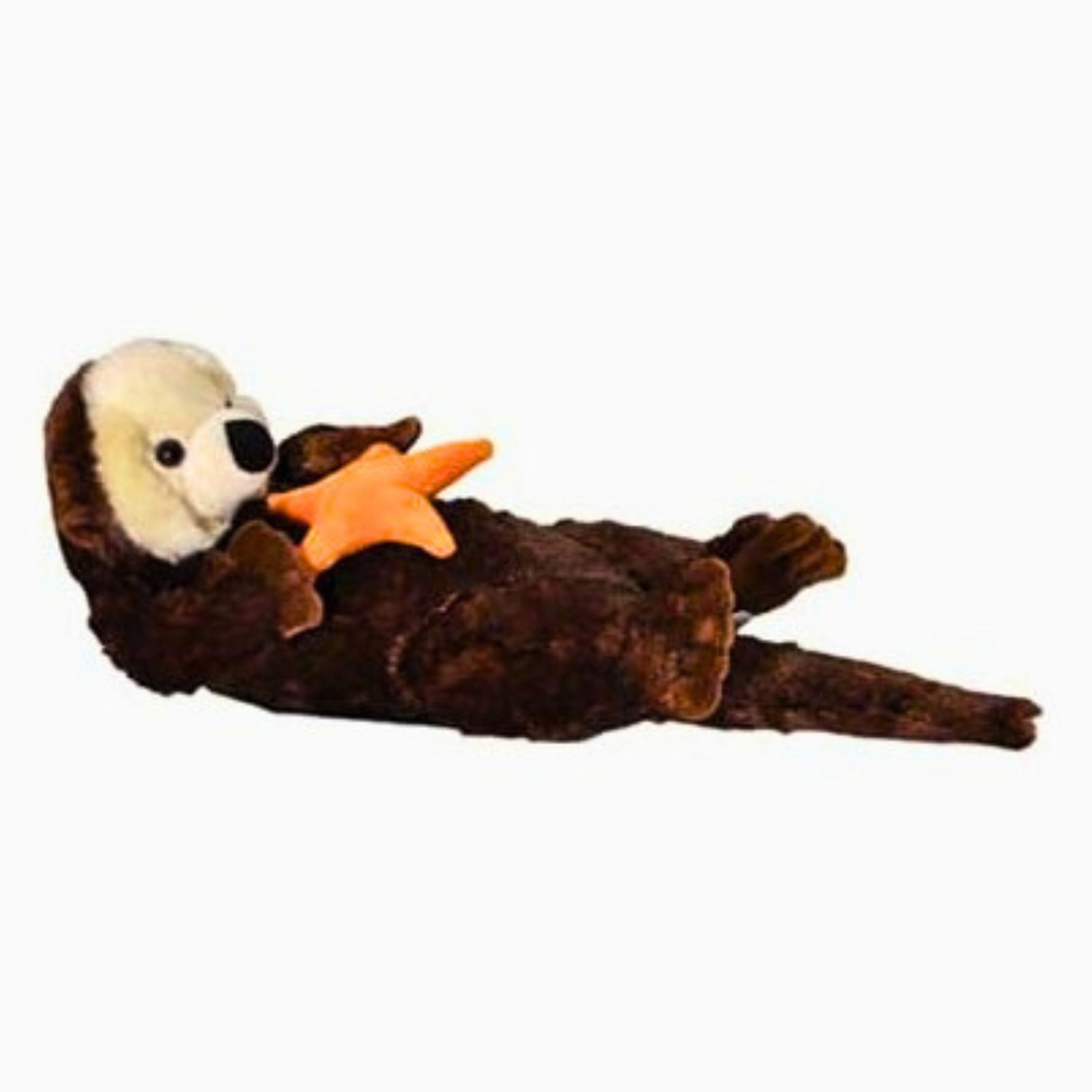 Sea Otter and Starfish