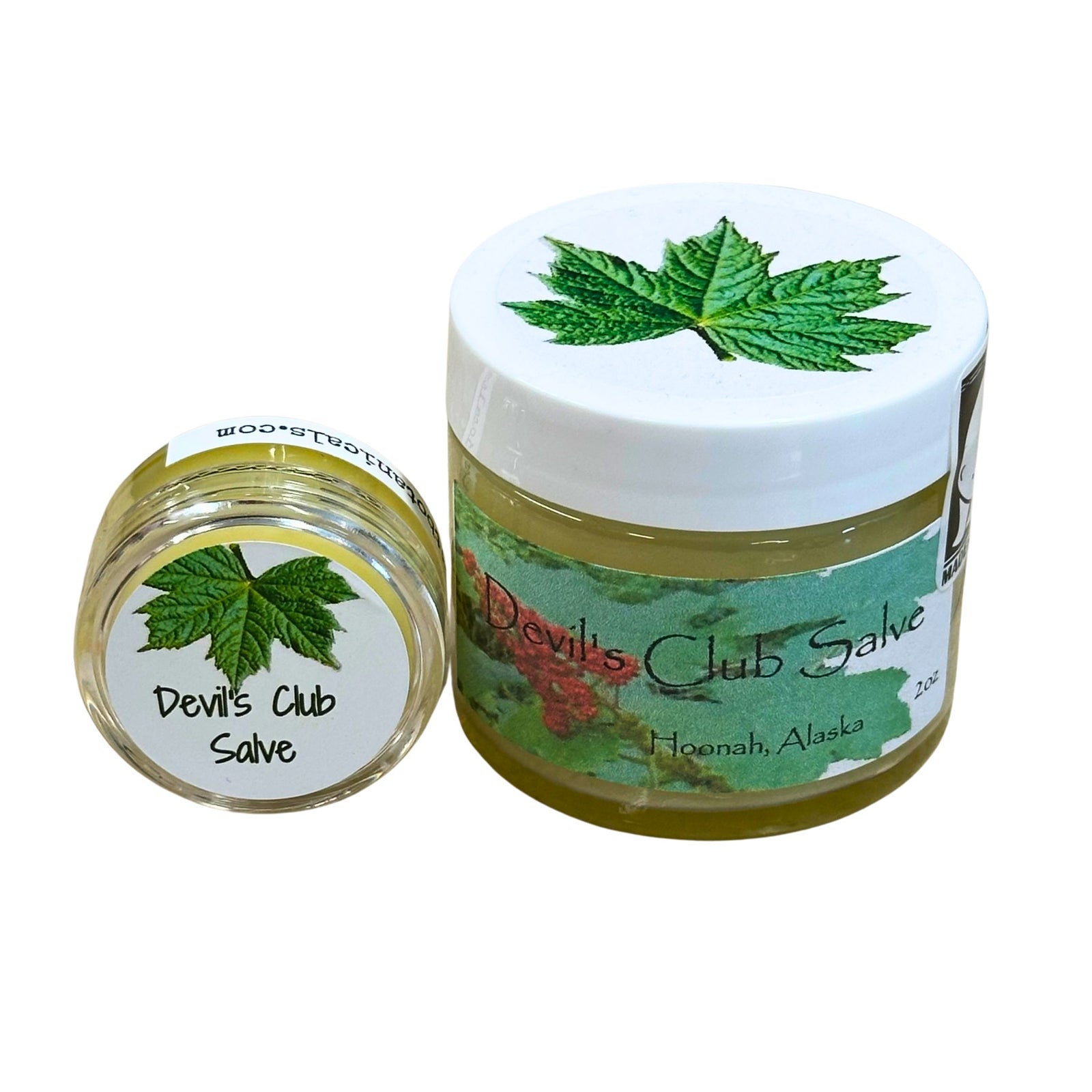 Devil's Club Salve