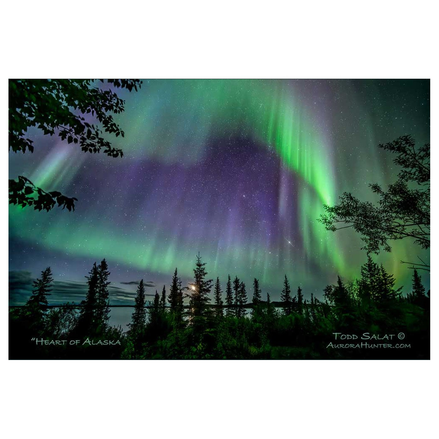 Heart of Alaska - Metal Print
