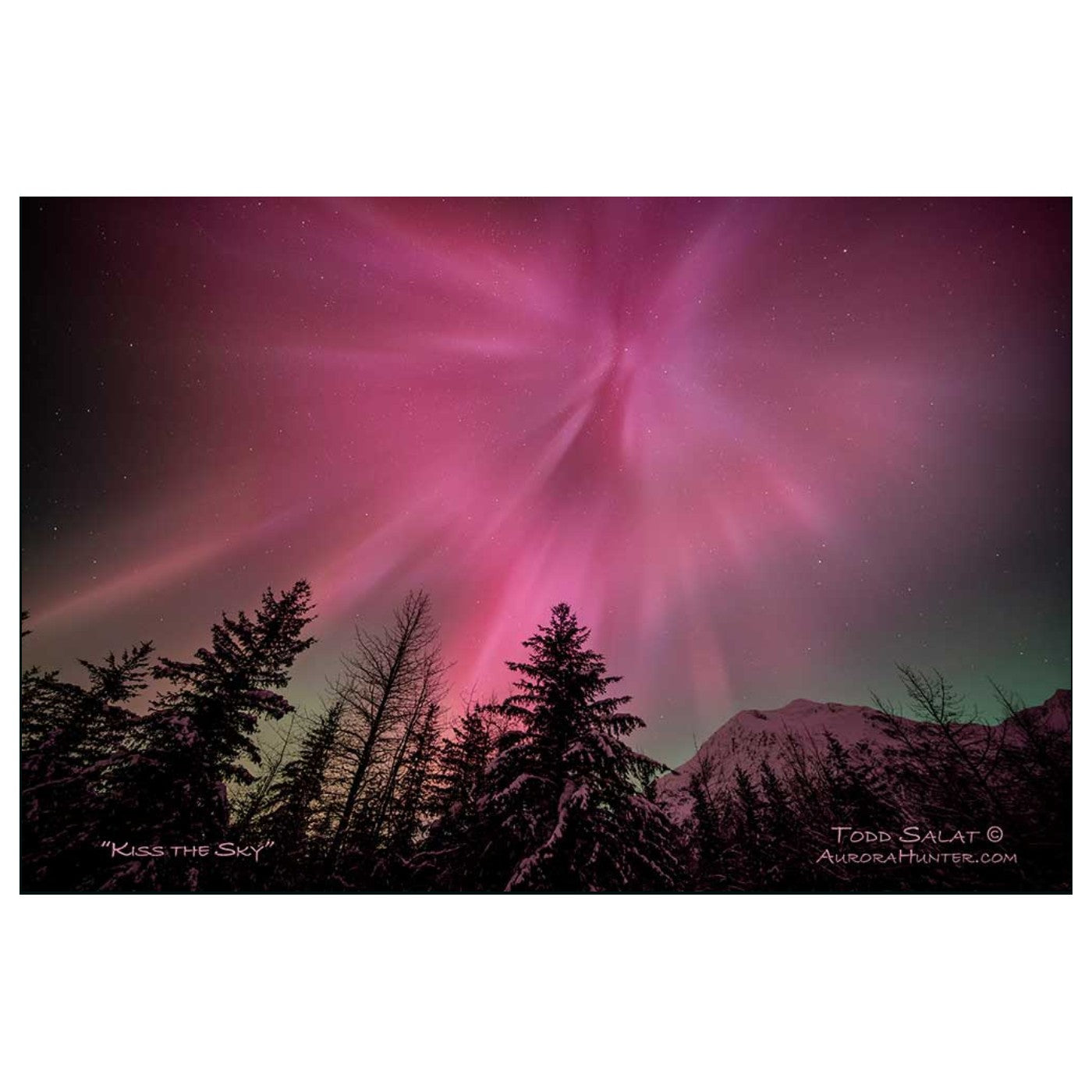 Kiss the Sky - Metal Print