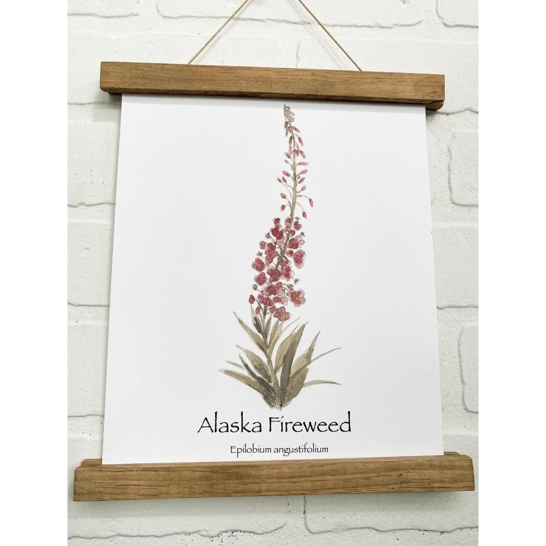 Alaska Botanical Print