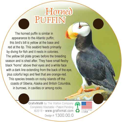 Horned Puffin Cork Coaster