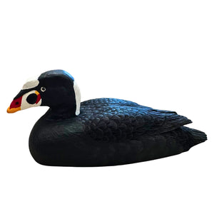 Surf Scoter Wood Carving