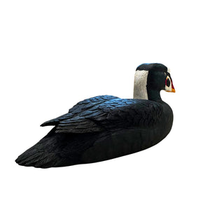 Surf Scoter Wood Carving