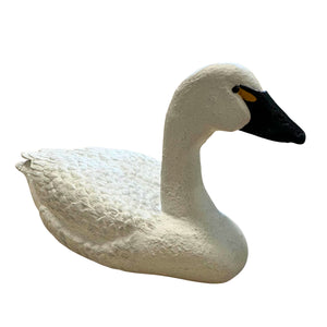 Tundra Swan Wood Carving