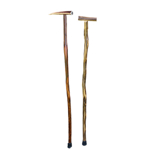 Walking Stick Antler Cane