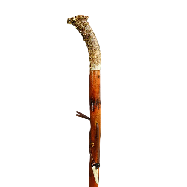 Walking Stick Antler Crown Top