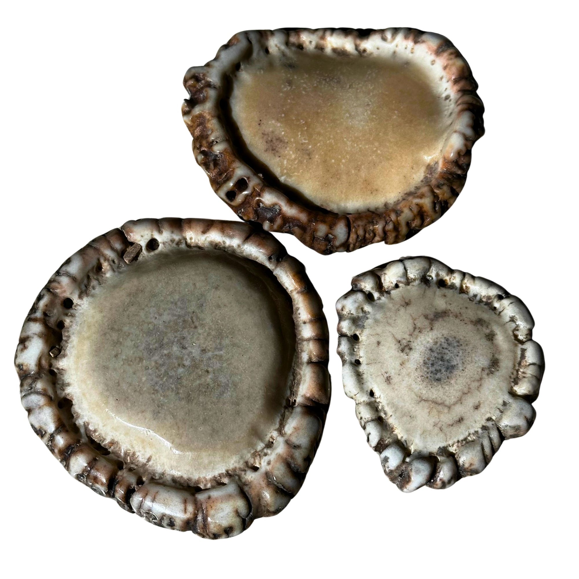 Polished Antler Burr