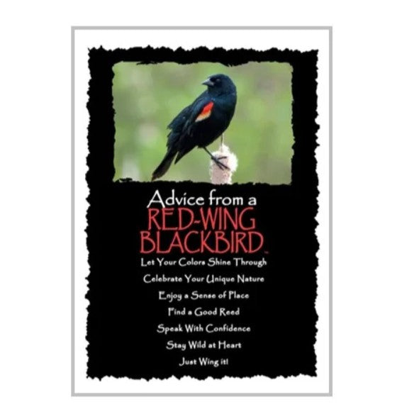 Advice from a Red-Wing Blackbird Greeting Card
