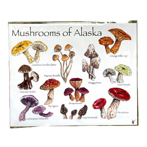 Mushrooms of AK Print