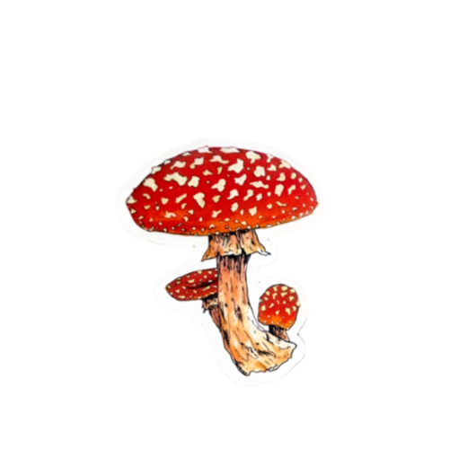 Mushroom Sm Sticker