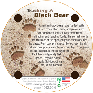 Black Bear Paw Cork Coaster