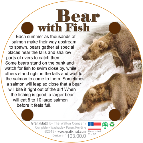 Bear-Fish Cork Coaster