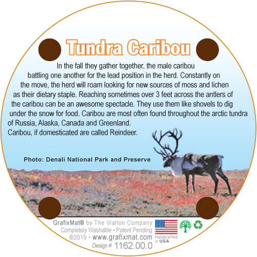 Tundra Caribou Cork Coaster