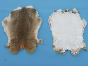 Rabbit Fur Pelt Natural