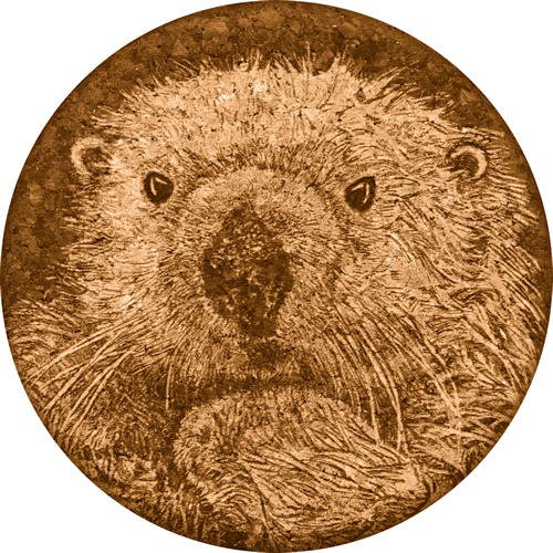 Sea Otter Cork Coaster