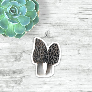 Morel Mushroom Sticker