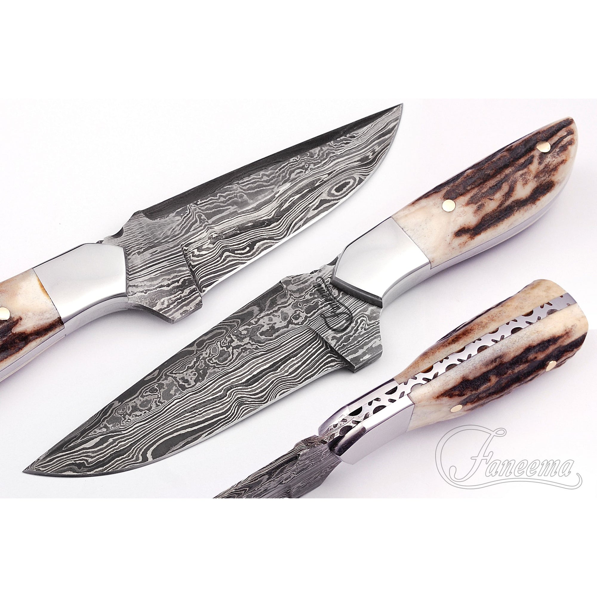 Damascus Stag Medium Fixed Knife