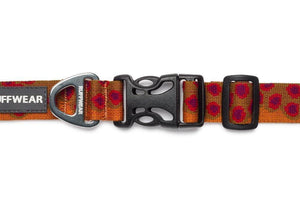 Hoopie Dog Collar