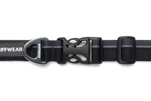 Hoopie Dog Collar