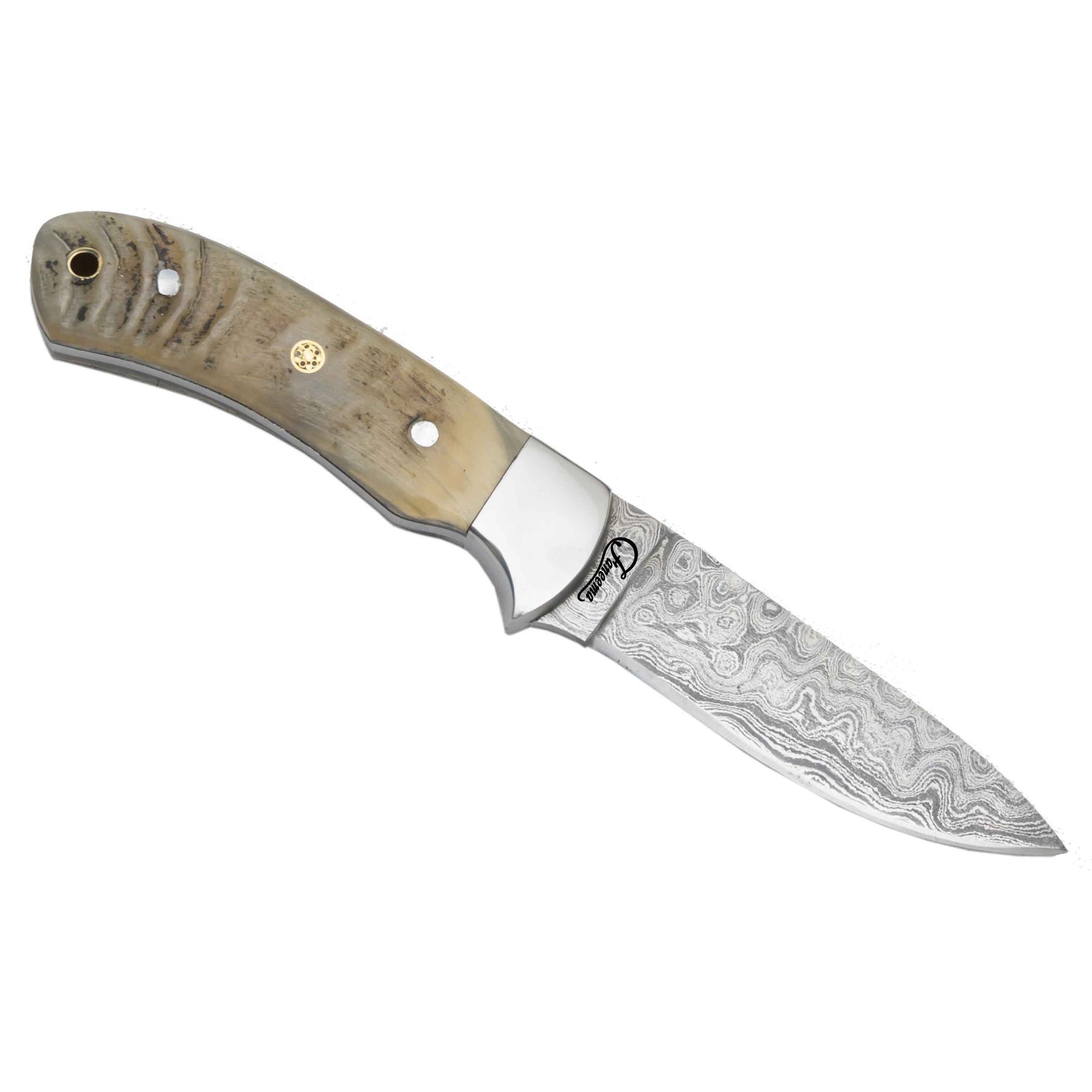 Damascus Ram Horn Medium Fixed Knife