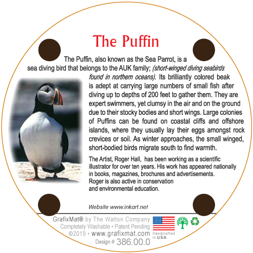 Puffin Cork Coaster