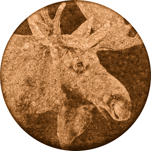 Moose Monarch Cork Coaster