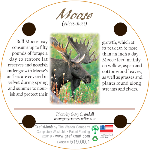 Moose Monarch Cork Coaster