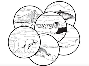 Marine Mammals of Alaska Field Guide