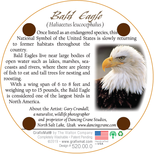 Bald Eagle Cork Coaster