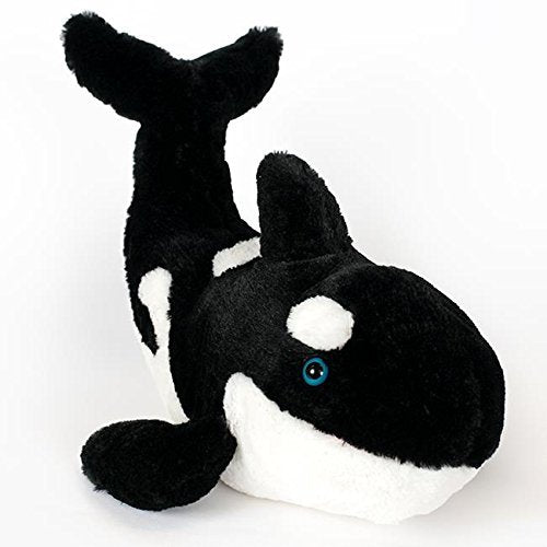 Orca Whale