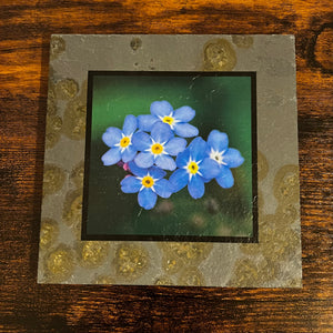 Forget Me Not Trivet