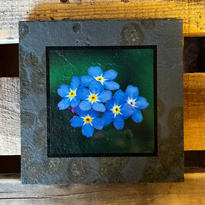 Forget Me Not Trivet
