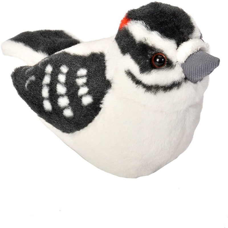 Downy Woodpecker Audubon Birds