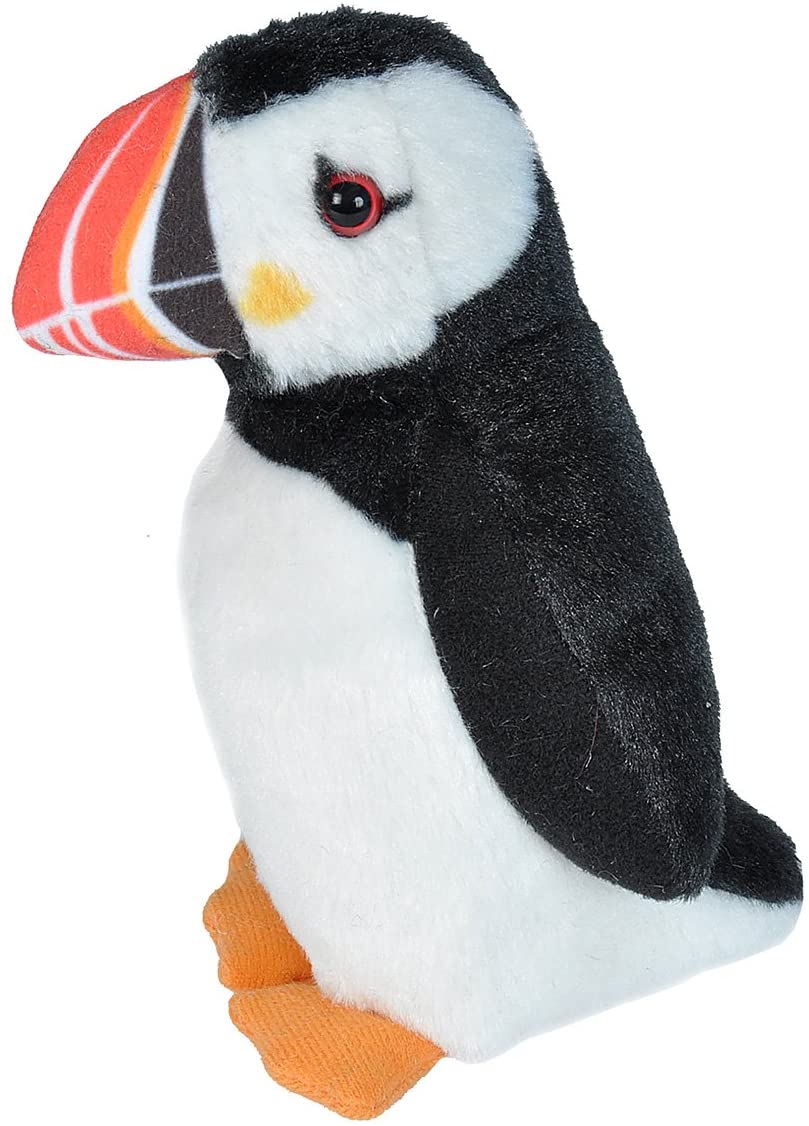 Atlantic Puffin - Audubon Birds