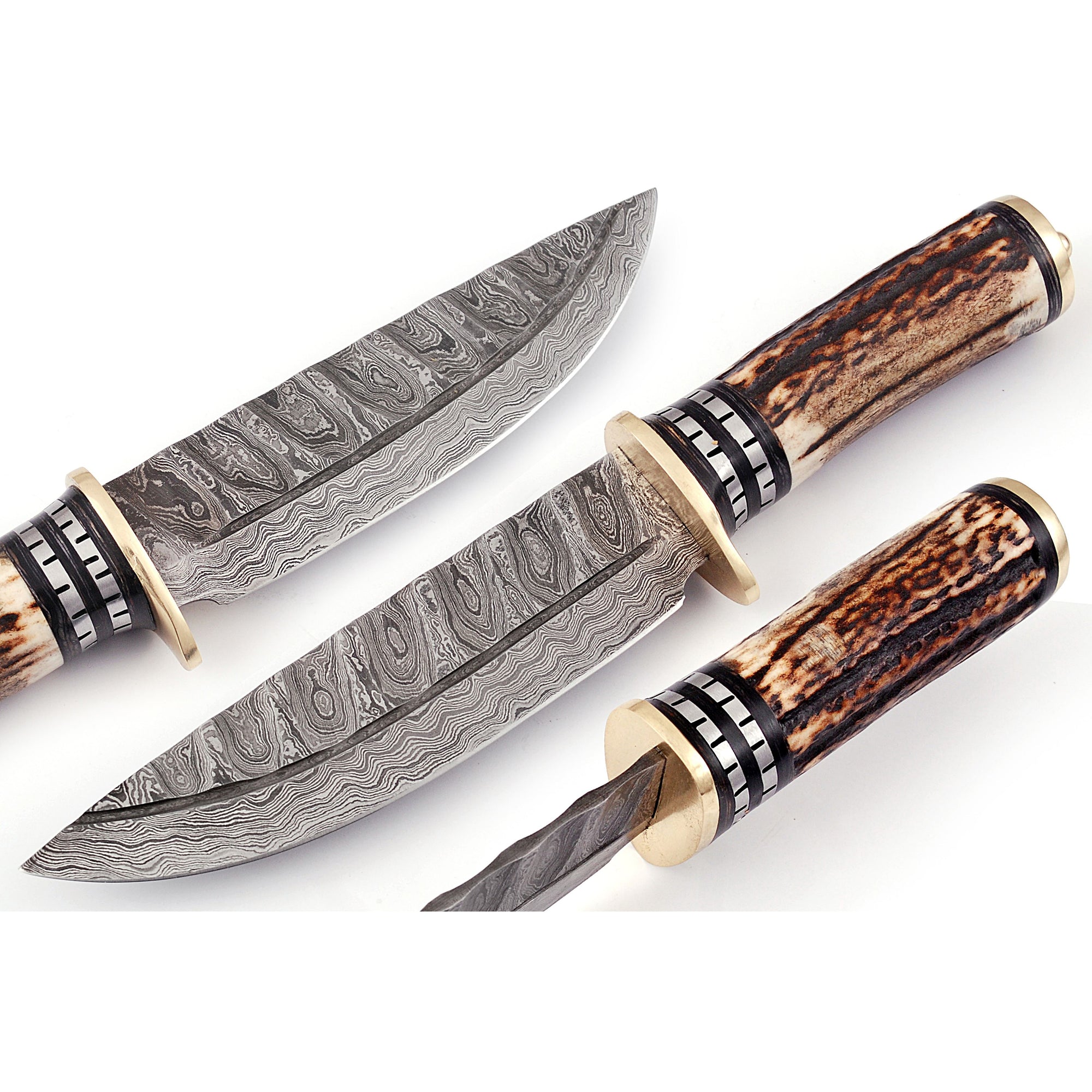 Damascus Stag Large Fixed Knife