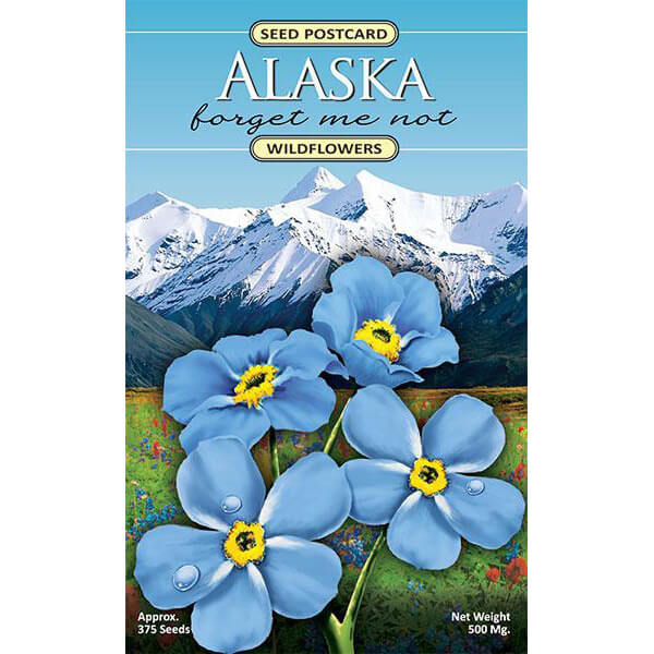 alaska flower seeds Alaska Seed Postcards Forget-Me-Not