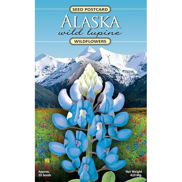 alaska wildflower seeds for sale Seed Postcard Alaska Arctic Lupine