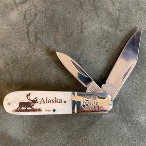 Alaska Scrimshaw 3.25 inch Knife