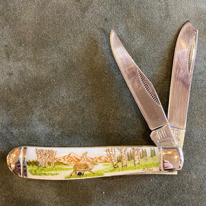 Color Scrimshaw 3.5 inch Knife