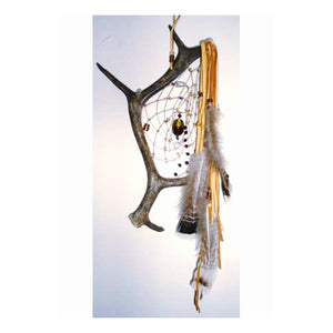 Antler Dream Catcher